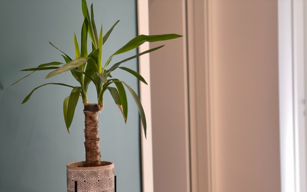 centro estetico favero udine