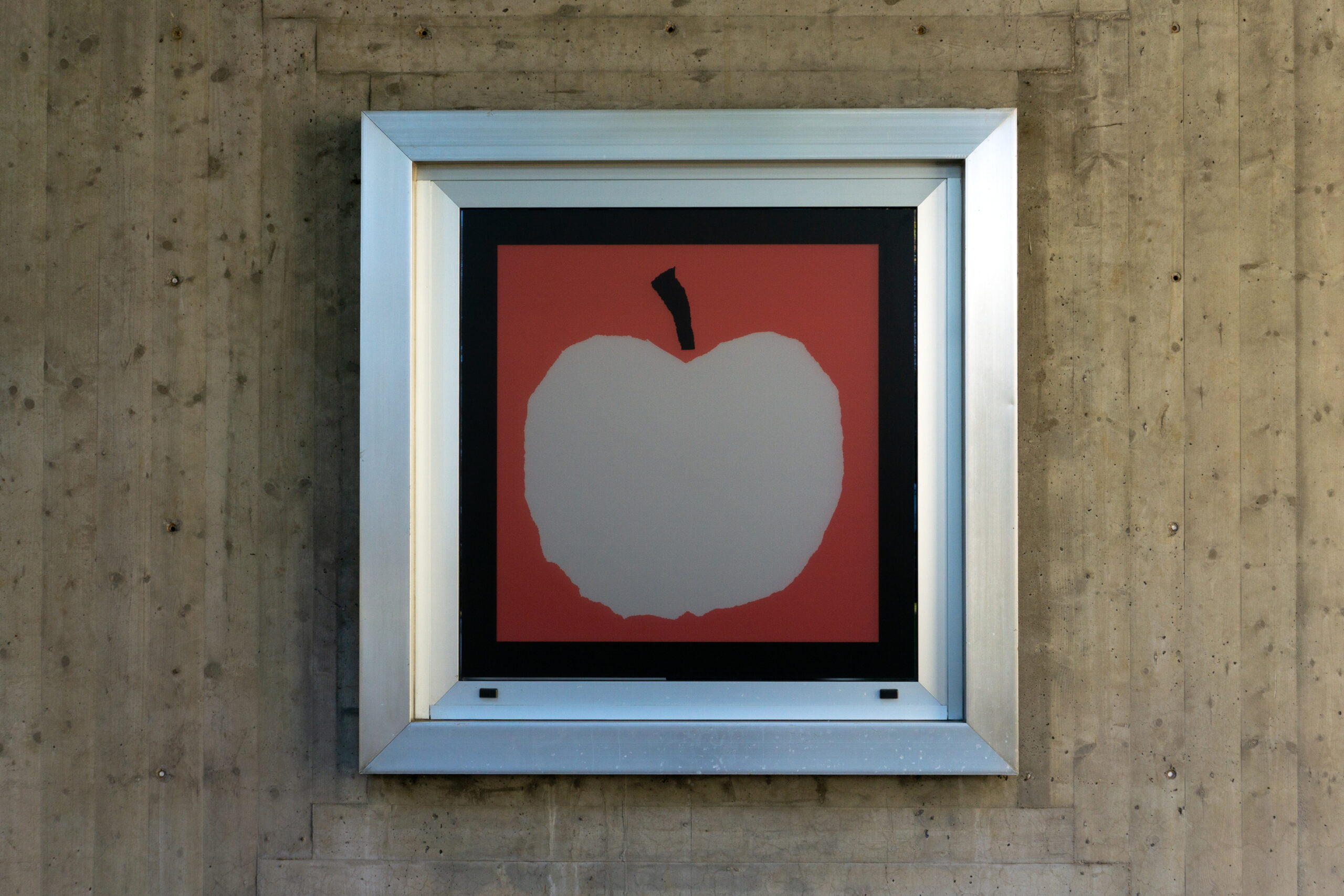 vetrine farmacia favero